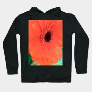 Orange Flower - Autumn Bouquet - Flowers Hoodie